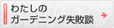 ガーデニング初心者だった頃の失敗談
